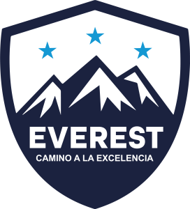 EVEREST AULA VIRTUAL